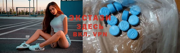ПСИЛОЦИБИНОВЫЕ ГРИБЫ Вяземский