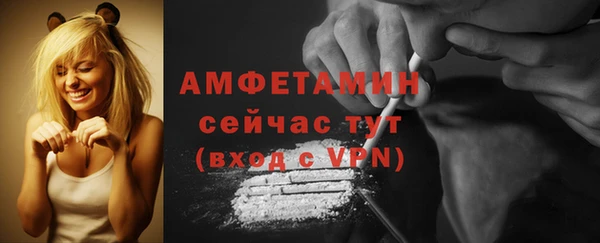 ПСИЛОЦИБИНОВЫЕ ГРИБЫ Вяземский