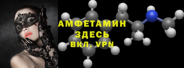 ПСИЛОЦИБИНОВЫЕ ГРИБЫ Вяземский
