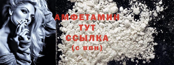 ПСИЛОЦИБИНОВЫЕ ГРИБЫ Вяземский