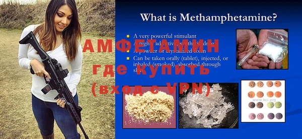 ПСИЛОЦИБИНОВЫЕ ГРИБЫ Вяземский