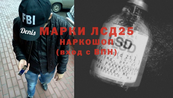 ПСИЛОЦИБИНОВЫЕ ГРИБЫ Вяземский