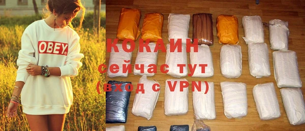 ПСИЛОЦИБИНОВЫЕ ГРИБЫ Вяземский