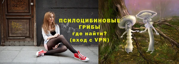 СК Волосово