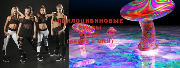 ПСИЛОЦИБИНОВЫЕ ГРИБЫ Вяземский